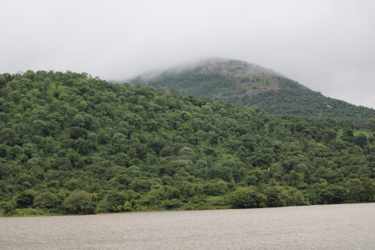 mountain landscape with trees and clouds