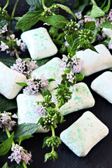 Mint chewing gum pads, mint leaves. Oral health concept.