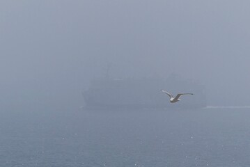 Boat in the heat haze 