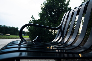 bench in the park sky