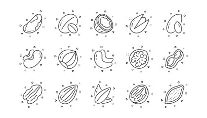Hazelnut, Almond nut and Peanut. Nuts and seeds line icons. Sunflower seeds, Brazil nut, Pistachio icons. Walnut, Coconut and Cashew nuts. Linear set. Geometric elements. Quality signs set. Vector