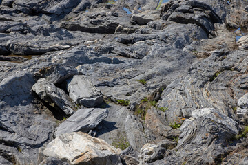 Bold Coast of Maine