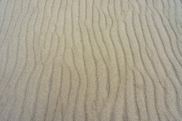 Sea sand. Sandy background. Sandy texture. Natural sea sand and river sand.