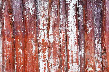 Old wood planks, perfect background for your concept or project.