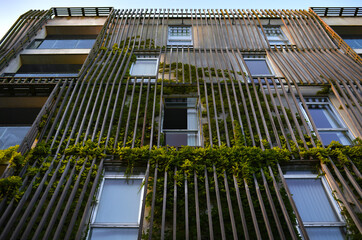 Eco home - Frame for Ivy on the facade of a modern apartment building in Copenhagen, Denmark