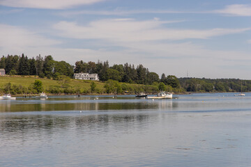 Beautiful harbor in maine
