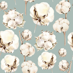 seamless background with cotton flowers