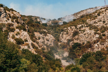 Fototapeta na wymiar White smoke from a forest fire in the mountains of Montenegro.
