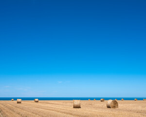 rolls of straw on field under blue sky with ocean in the background in french normandy