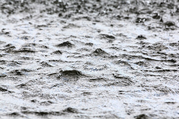 Water surface with ripples and water plants.