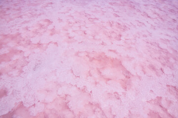 Pink salt crystals on the salt lake with clear water close up. Abstract nature background....