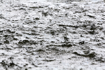 Water surface with ripples and water plants.