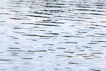 Water surface with ripples and water plants.