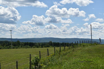 Obraz premium A cultivated field under a cloudy sky