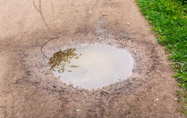 Puddle in dirt footpath after rain in summer