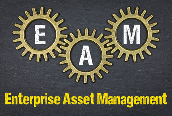 EAM Enterprise Asset Management