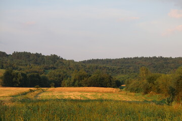 Naklejka premium Feld