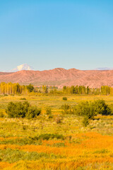 Fototapeta premium Countryside Landscape, San Juan Province, Argentina