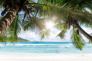 Tropical beach with palm trees, crystal water and white sand