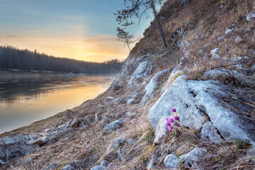 Fototapeta na wymiar spring river at sunset
