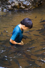 An asian boy feed and play with Kelah fish in Kelah Sanctuary Kenyir Lake, Terengganu.