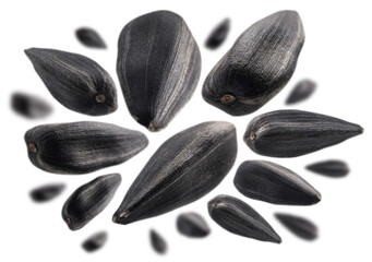 Sunflower seeds levitate on a white background