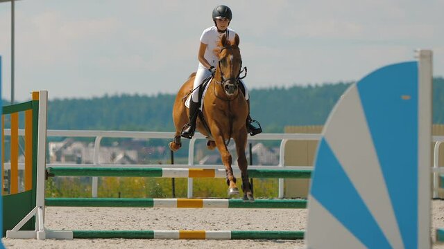 Horse rider jumping over obstacle on outdoor riding arena, equestrian sport