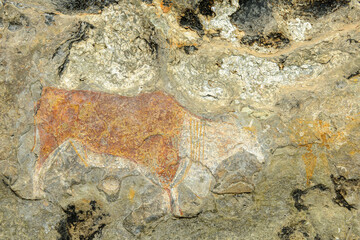 San or Bushman rock art on a sandstone cave wall near Clarence. Free State. South Africa.
