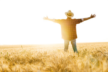 Image from back of man standing with throwing up hands at cereal field