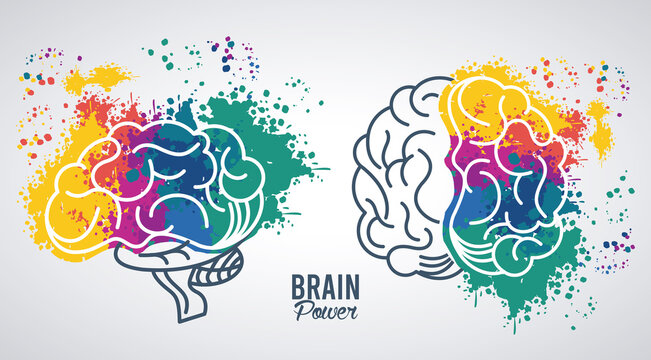 brains power templates with colors splash