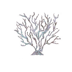 Ocean life  watercolor icons isolated on white background