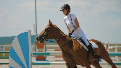 Horse jumping over obstacle on sandy parkour riding arena equestrian competition