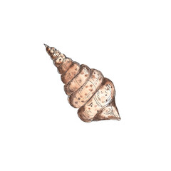 Ocean life  watercolor icons isolated on white background