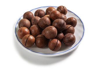 macadamia nut in a shell on a white saucer with a blue border, isolated on a white background