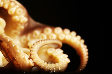 A delicious octopus prepared to be cooked in a gray bowl on a black background. Horizontal format.