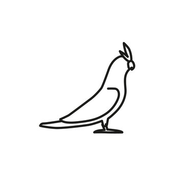 recommend clip art: Cockatoo parrot line vector icon. Bird pet linear illustration. Outline corella logo