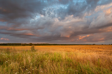 Evening colorful sky over a wild meadow, summer countryside view