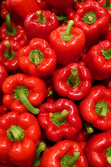 Vertical Image of Heap of Fresh Ripe Red Bell Peppers with Green Stem