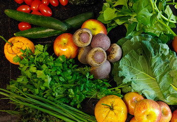 A small variety of fruits and vegetables that have just arrived from the organic fair.