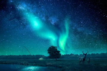 Poster A fantasy landscape lit by northern lights/aurora borealis © Isak