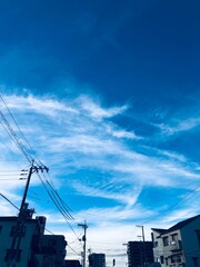 ウォーキングの景色