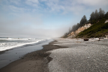 Beach Fog