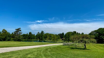 A summer day in the country