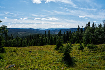 Beautiful view of the wild nature at the old homestead in Gol, Hallingdal, Norway.