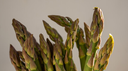 Isolated macro photo of the top of several green asparagus. This concept photo relates to healthy eating and a vegetarian lifestyle.
