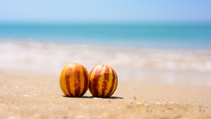 Two small striped melons stand on a sandy beach. In the background, the blue sea.