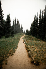 Fototapeta na wymiar Mountain Path