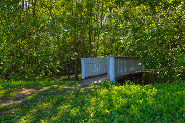 wooden fence, wooden bridge in the forest, green trees and bushes