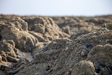 rochers
