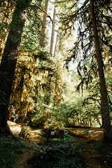 Sol Duc Bear Cages